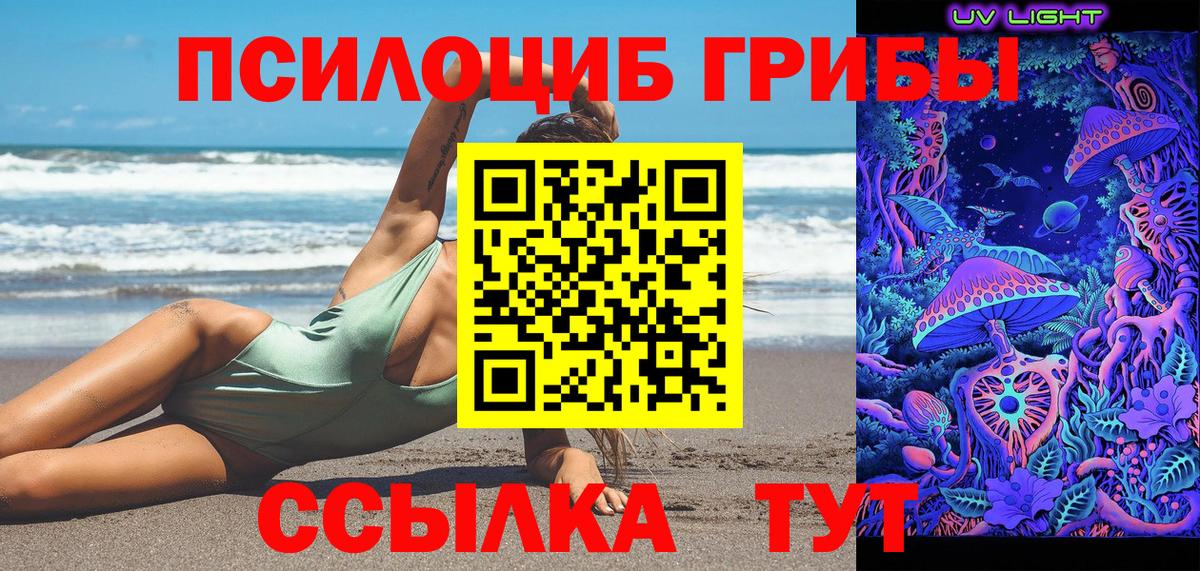 купить наркотики сайты  Вход с VPN  Псилоцибиновые грибы GOLDEN TEACHER  Тосно  Псилоцибиновые грибы MAGIC MUSHROOMS 